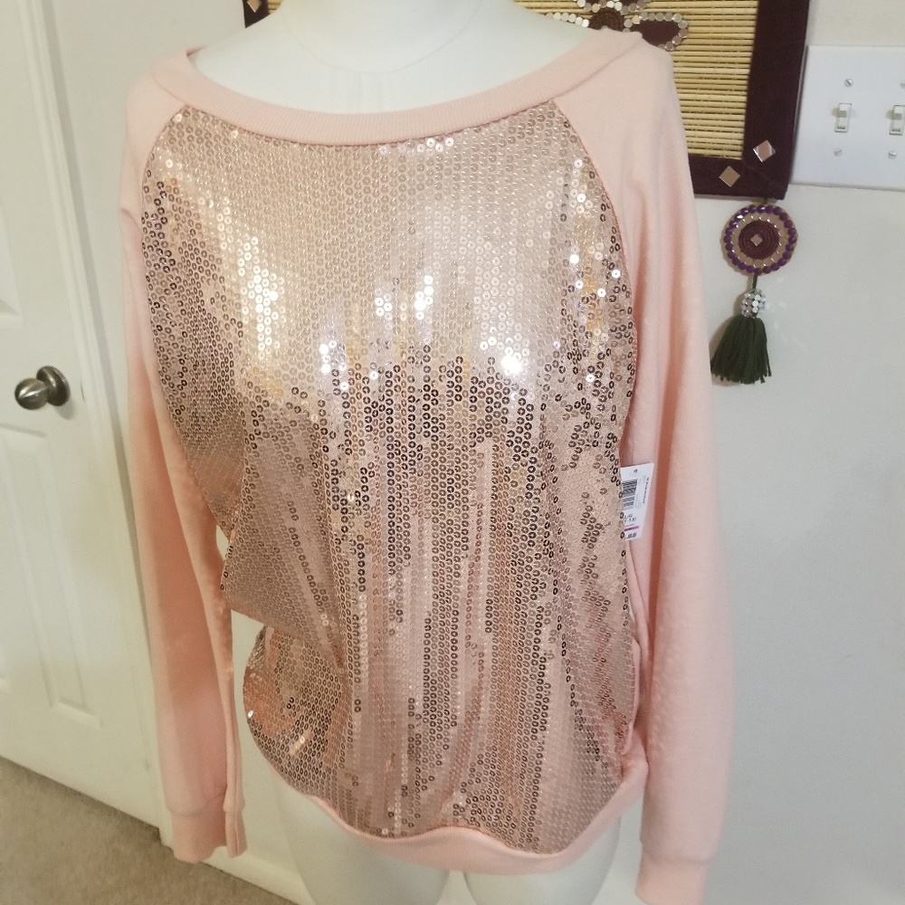 Blush Pink Sequined Blouse